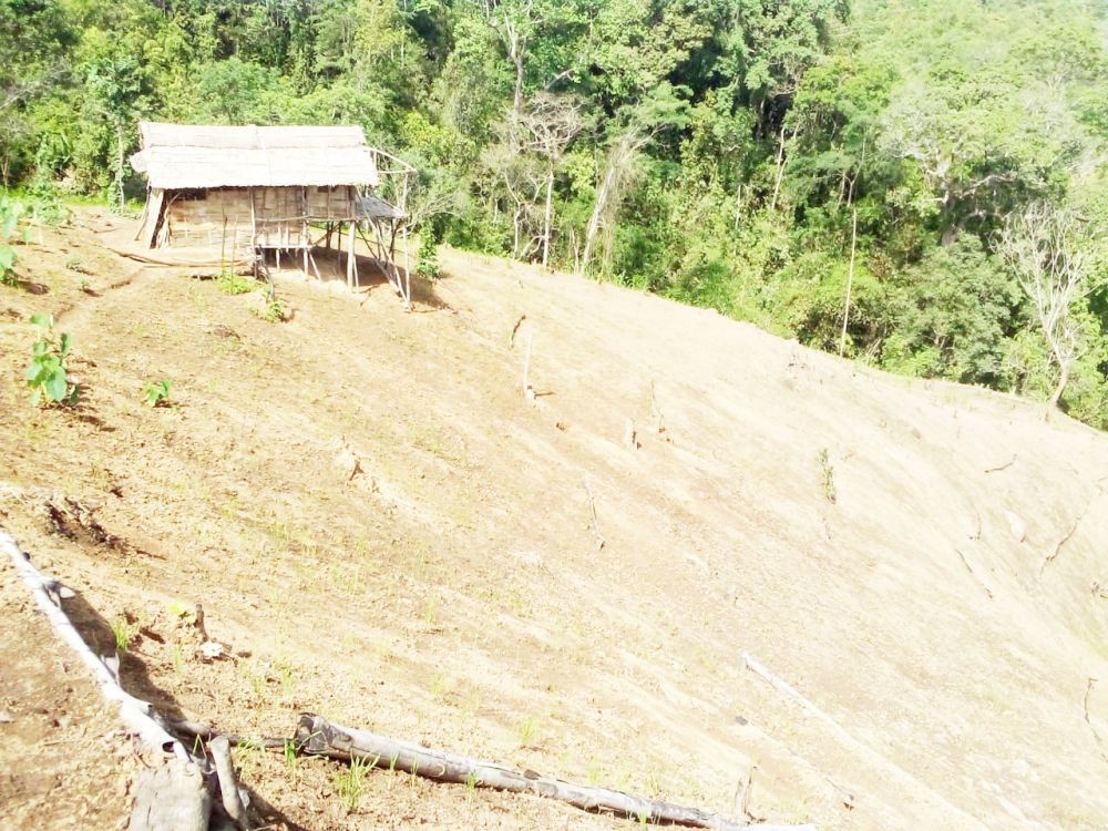 Portion of a field during the drought-like situation faced by Nagaland in 2021-22. (Morung file Photo)